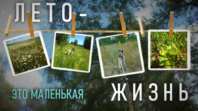 Стартовал Областной конкурс творческих работ обучающихся, посвященный Дню защиты детей «Лето – это маленькая жизнь».
