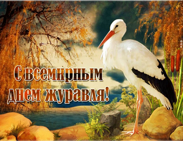   Областная акция "Копилка Добрых Дел" продолжает свою работу!